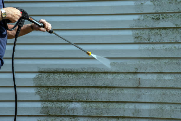 Best Residential House Exterior Washing  in Herculaneum, MO