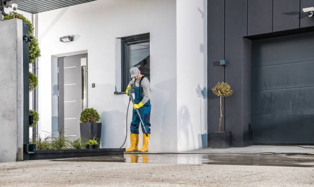 Best Gutter Cleaning  in Herculaneum, MO